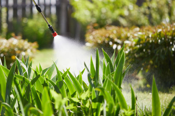 24/7 Emergency Wasp Removal experts in Brownsville, TN