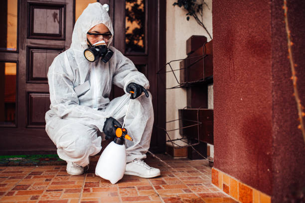 Reliable Wasp Removal contractor in Brownsville, TN by Show Me Pest Control