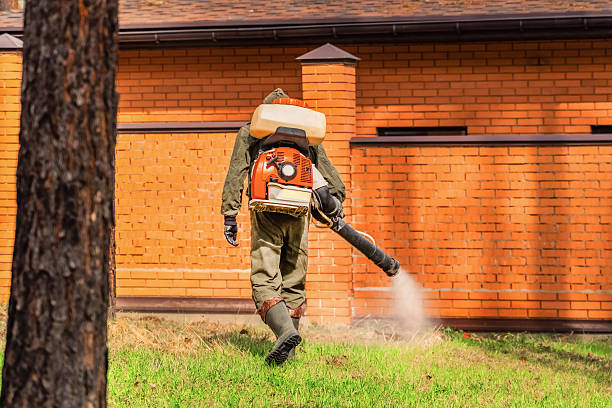 Top rated local Wasp Removal specialists in Brownsville, TN